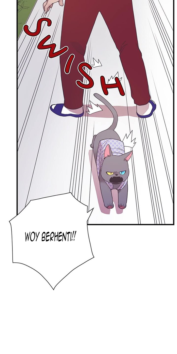 the-chef-of-spirits - Chapter: 5.2