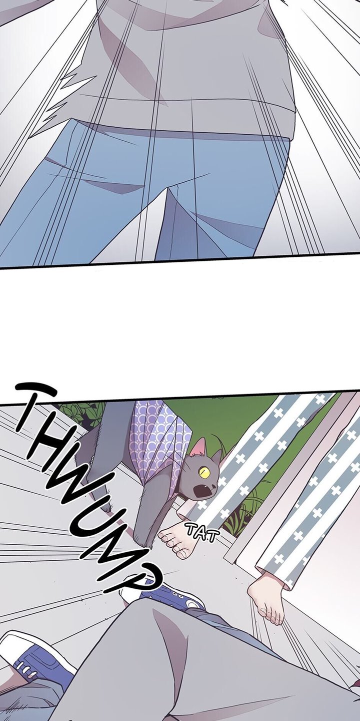 the-chef-of-spirits - Chapter: 5.2