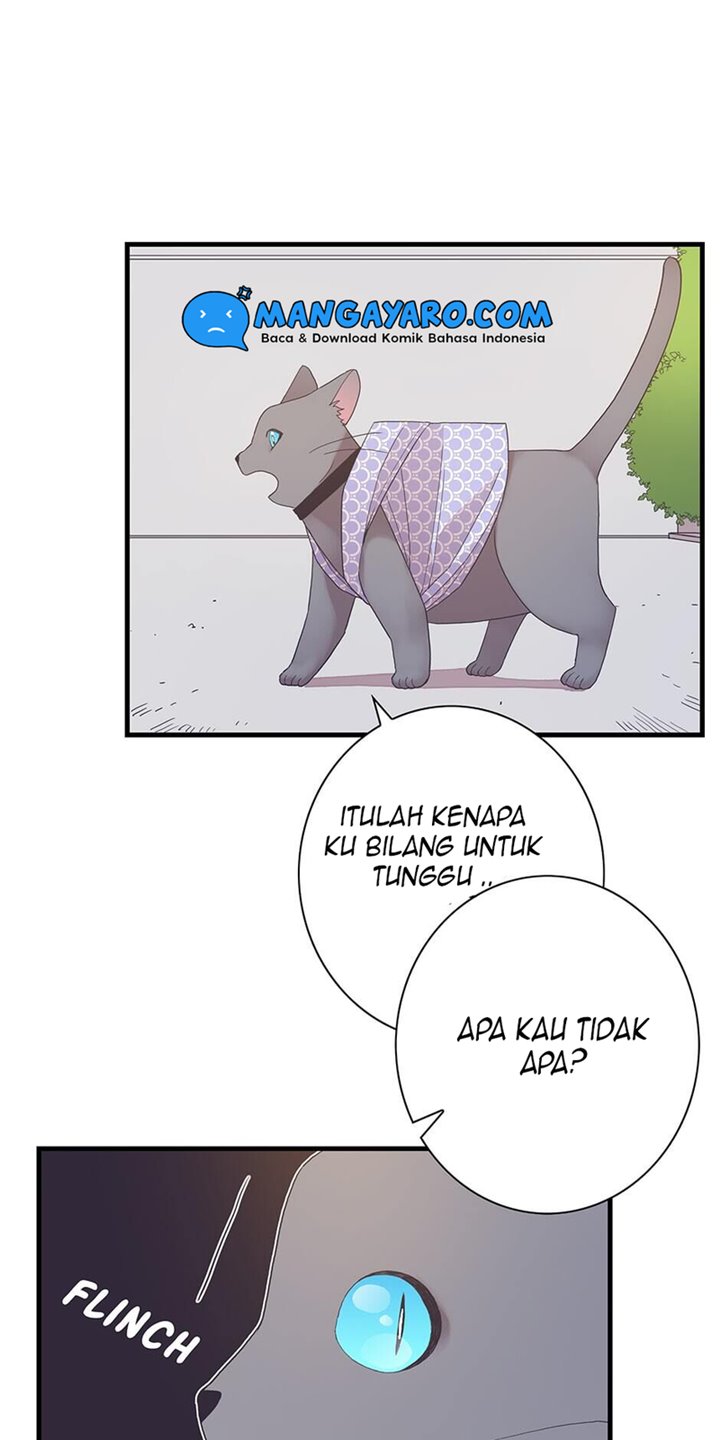 the-chef-of-spirits - Chapter: 5.2