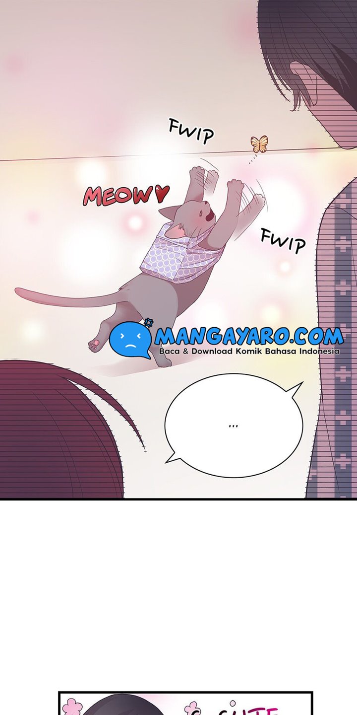 the-chef-of-spirits - Chapter: 6.2
