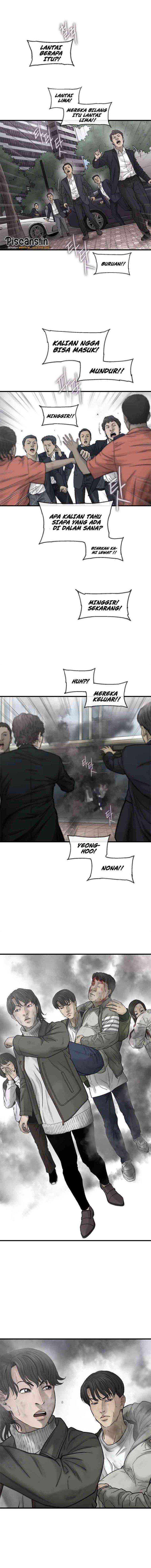 cell - Chapter: 15