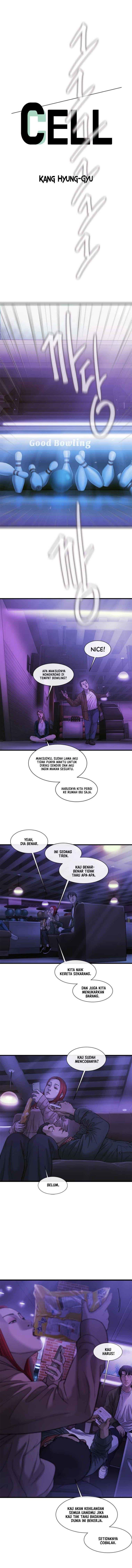 cell - Chapter: 17