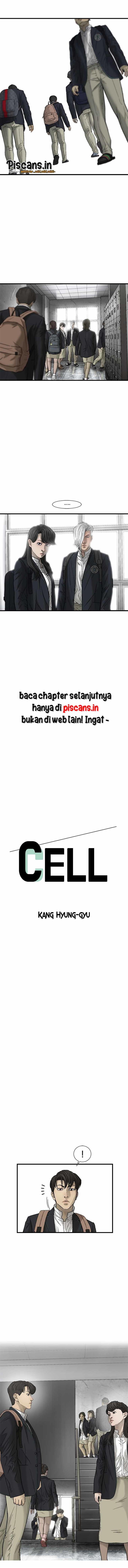 cell - Chapter: 22