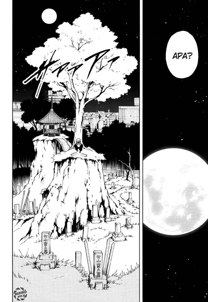 shaman-king-flowers - Chapter: 12