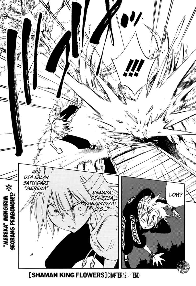 shaman-king-flowers - Chapter: 12