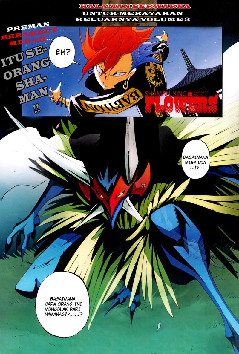 shaman-king-flowers - Chapter: 13