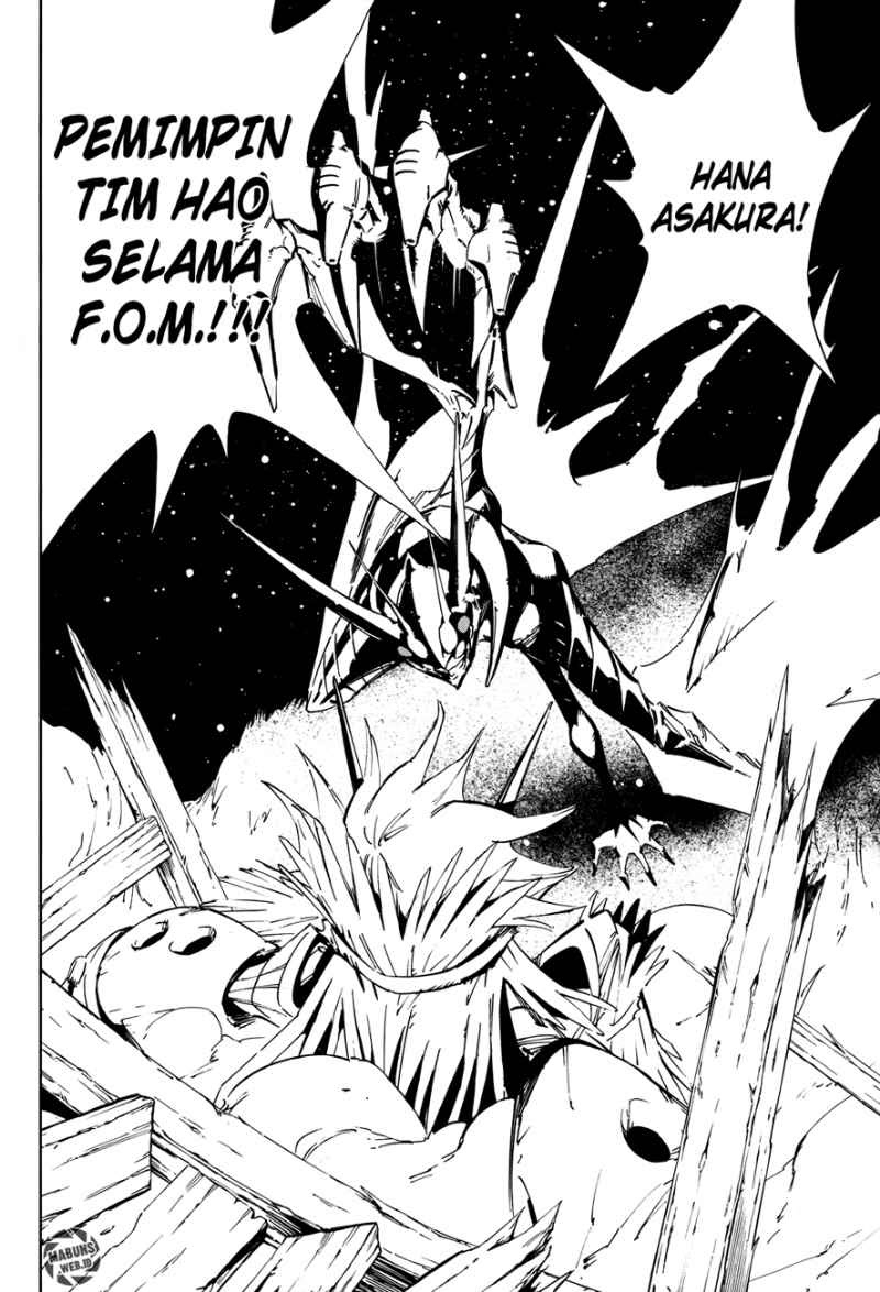 shaman-king-flowers - Chapter: 14