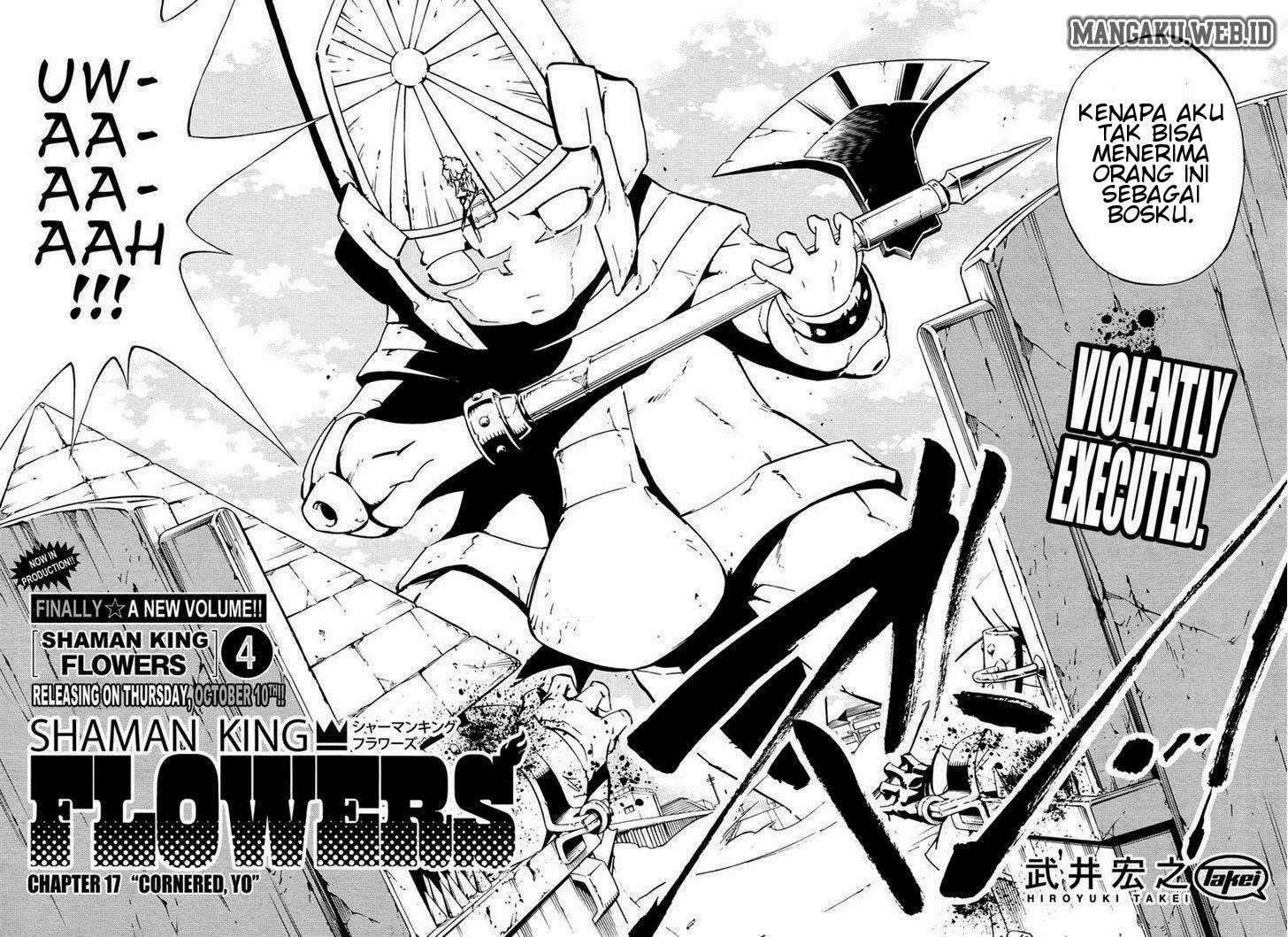 shaman-king-flowers - Chapter: 17