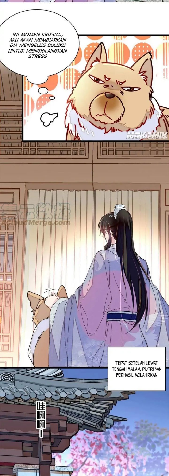 sijin - Chapter: 236