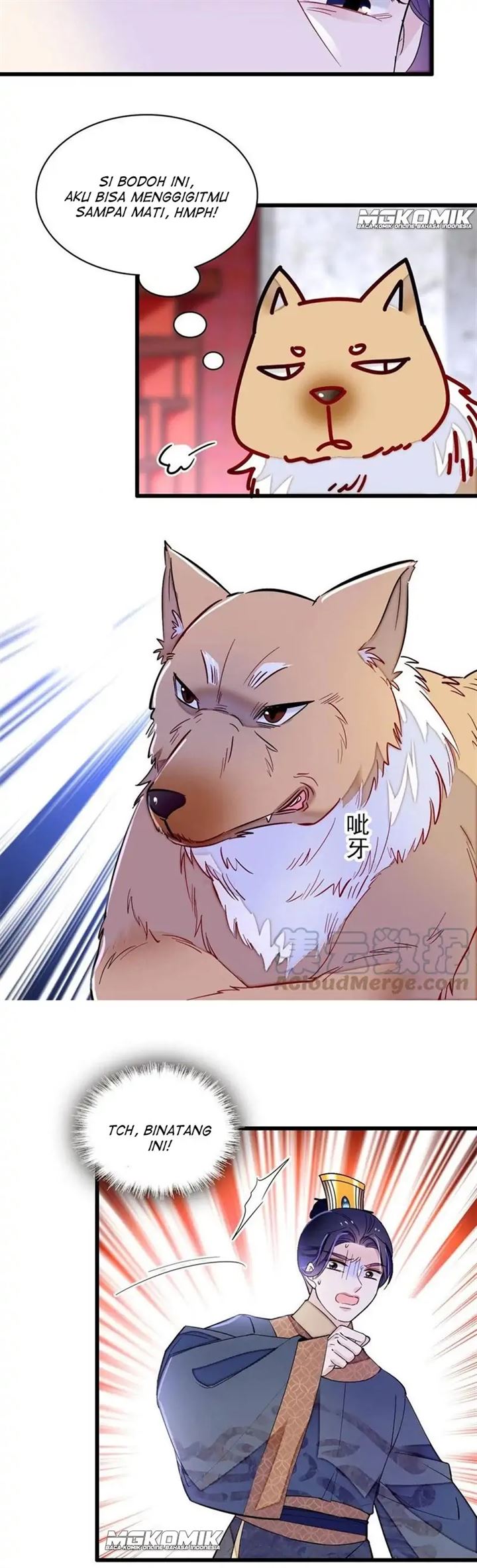sijin - Chapter: 247