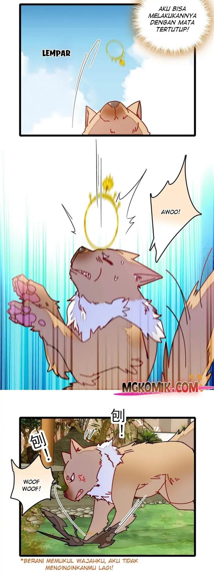 sijin - Chapter: 260