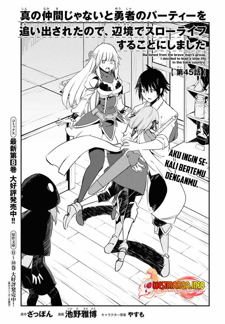 shin-no-nakama-janai-to-yuusha-no-party-wo-oidasareta-node-henkyou-de-slow-life-suru-koto-ni-shimashita - Chapter: 45