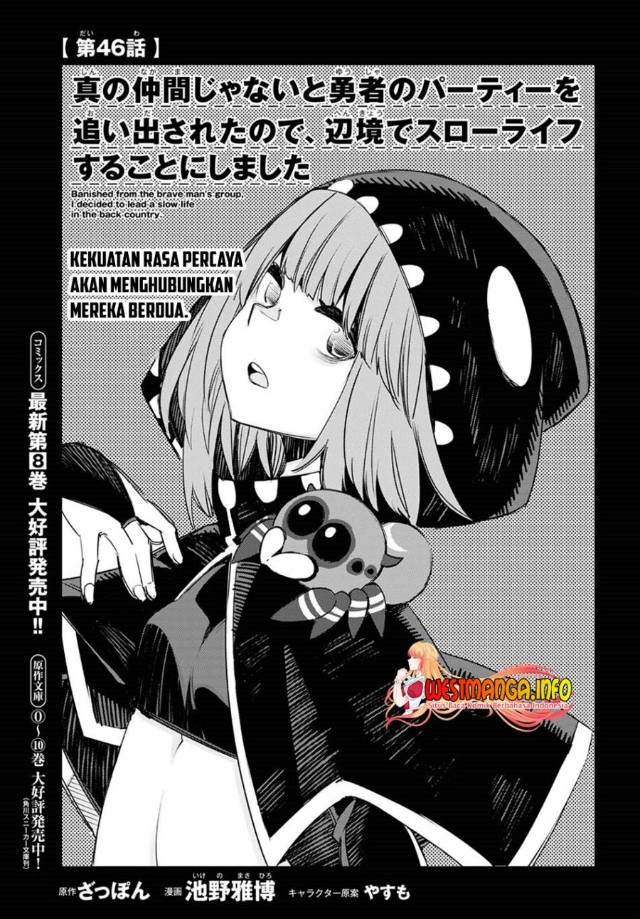 shin-no-nakama-janai-to-yuusha-no-party-wo-oidasareta-node-henkyou-de-slow-life-suru-koto-ni-shimashita - Chapter: 46