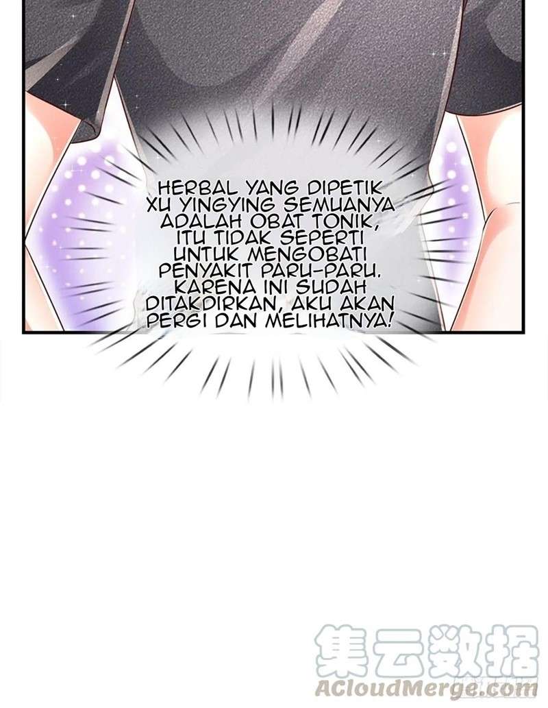 000-layers-of-body-refining-i-raise-all-emperor - Chapter: 25