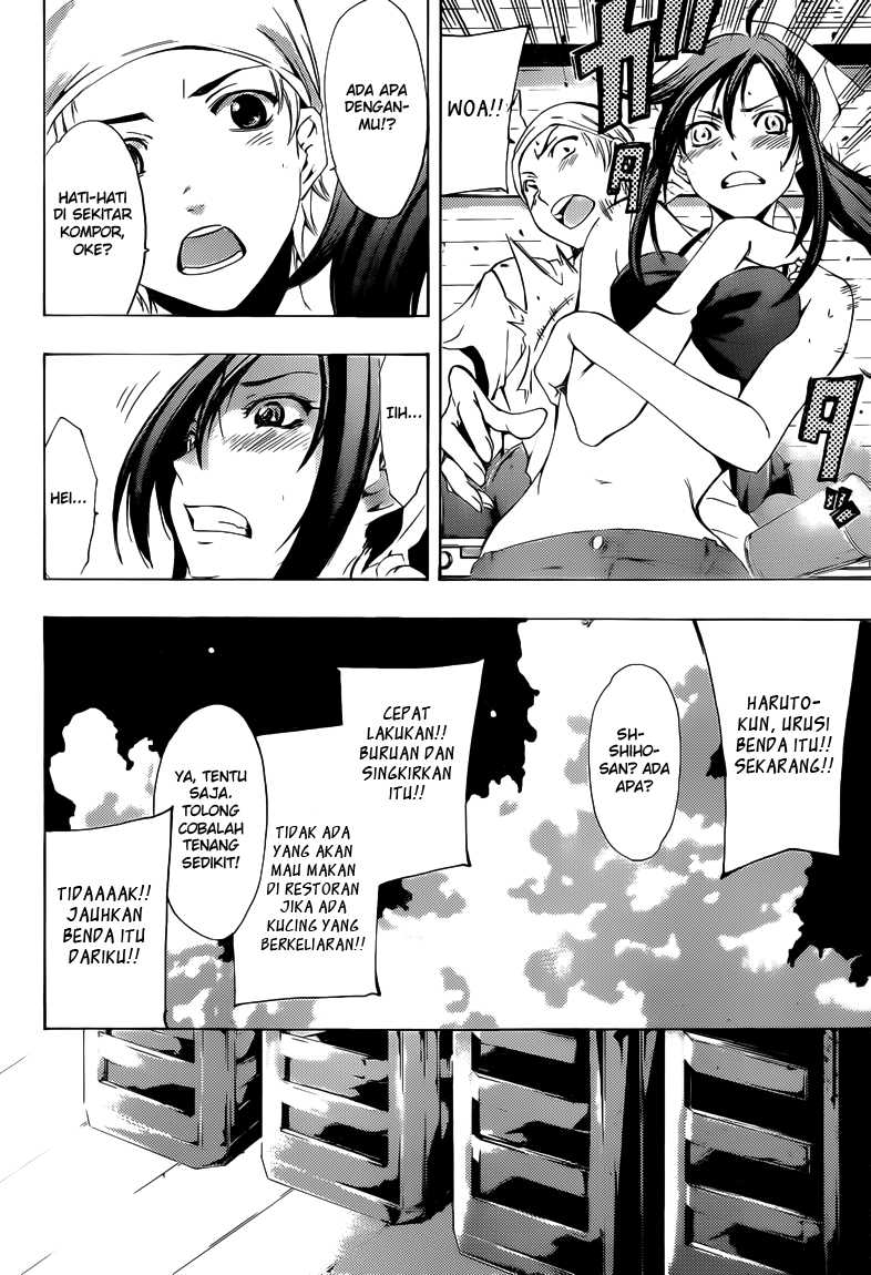 kimi-no-iru-machi - Chapter: 227