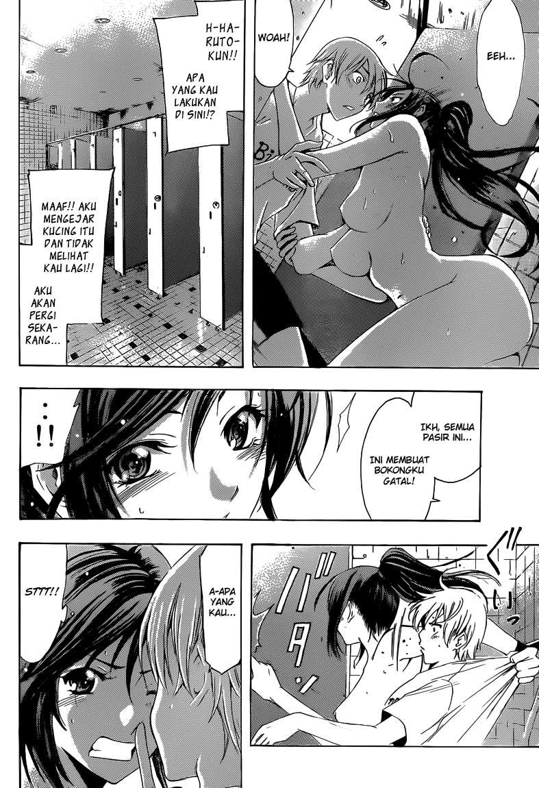 kimi-no-iru-machi - Chapter: 227