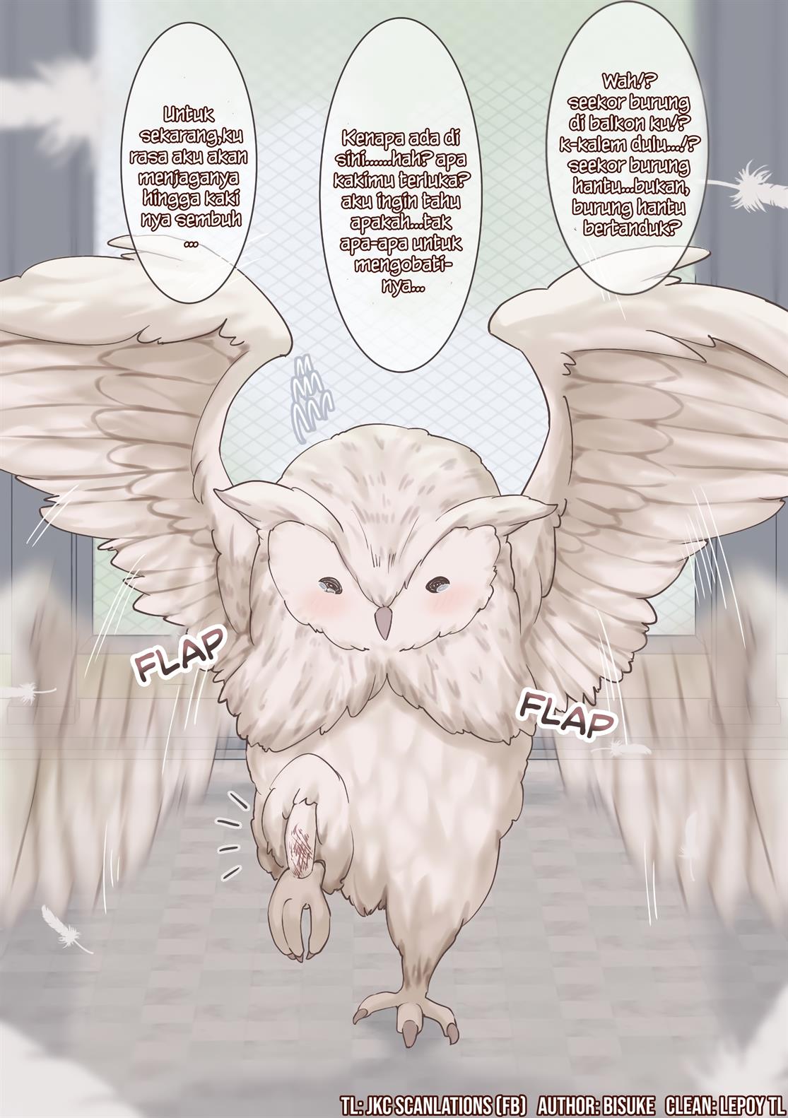 hogo-shita-mimizuku-ga-onnanoko-ni-nacchatta-hanashi - Chapter: 1