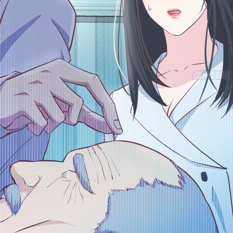 full-level-peach-blossom-acupuncturist - Chapter: 3