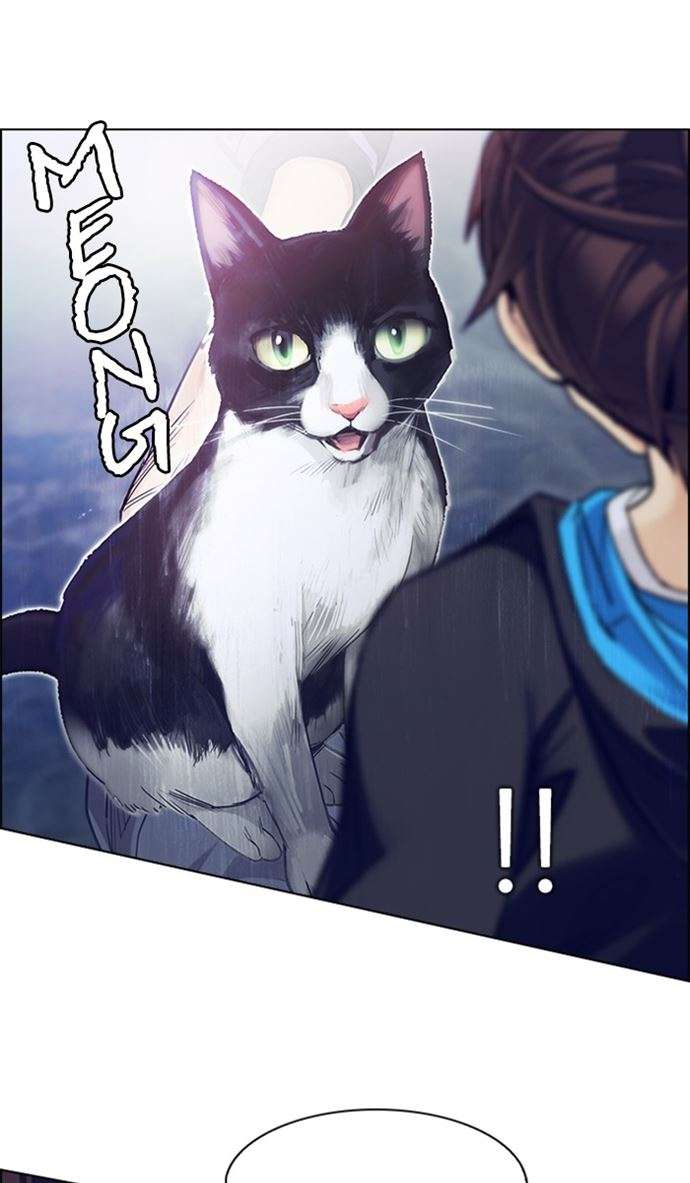 dice - Chapter: 356