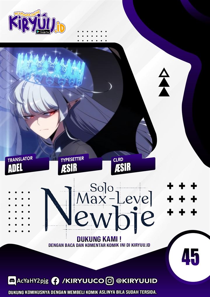 solo-max-level-newbie - Chapter: 45