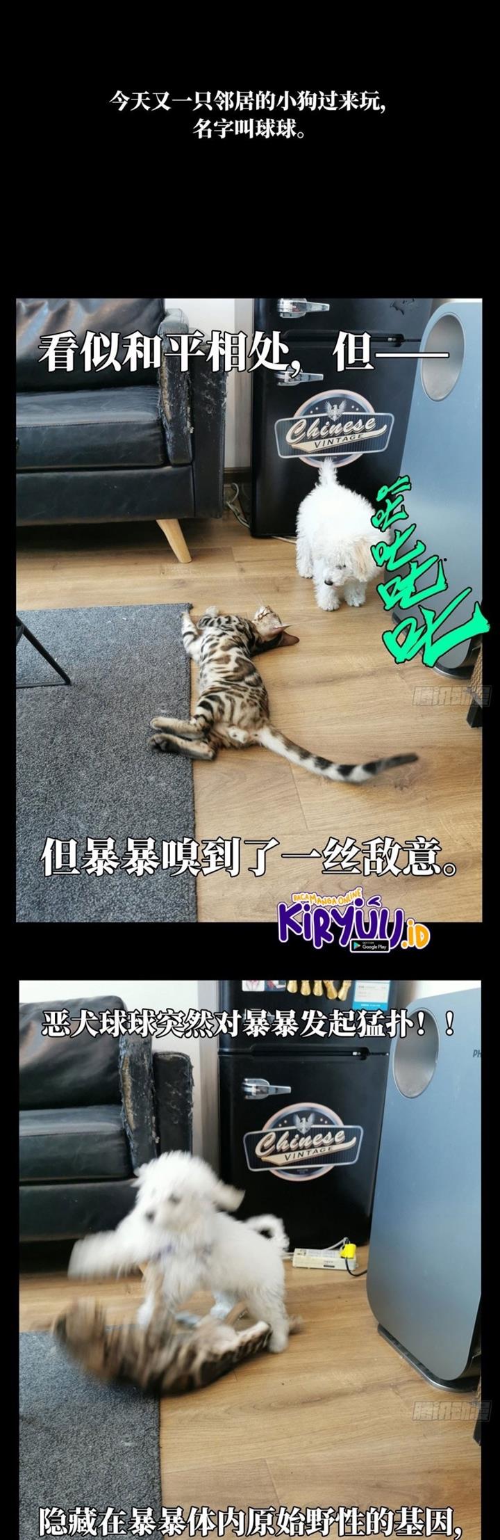 da-xiang-wuxing - Chapter: 72