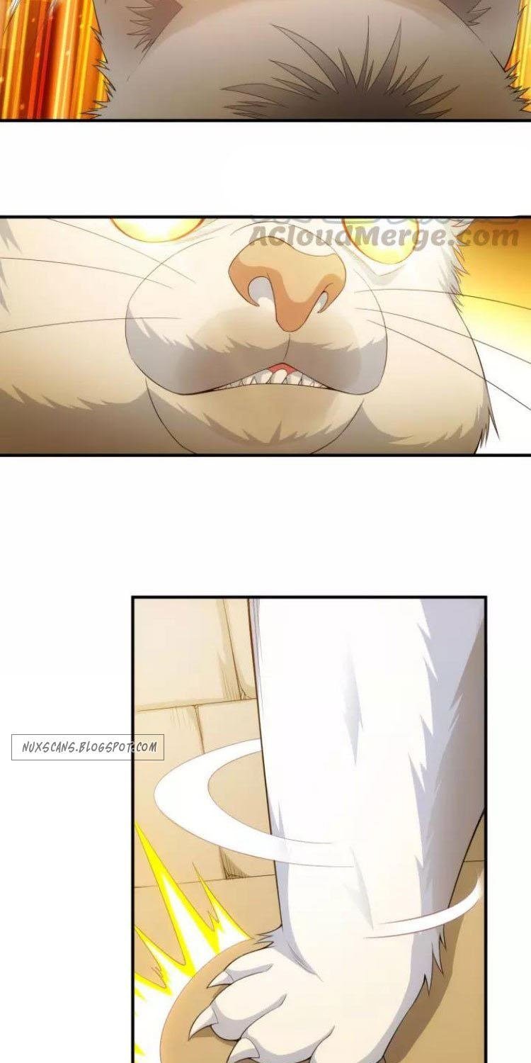 rich-player - Chapter: 139