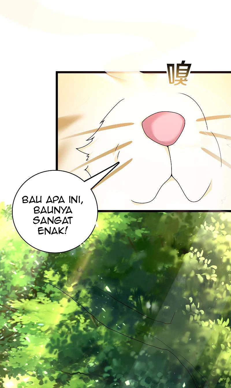 science-and-technology-fairy - Chapter: 19