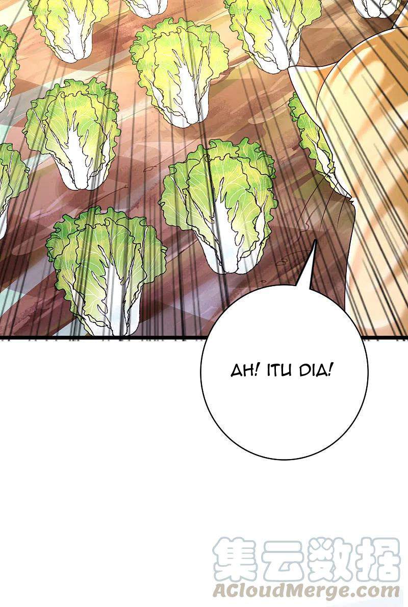 science-and-technology-fairy - Chapter: 19