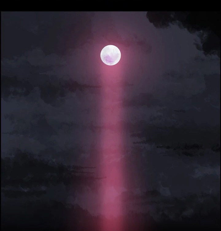 warble - Chapter: 11