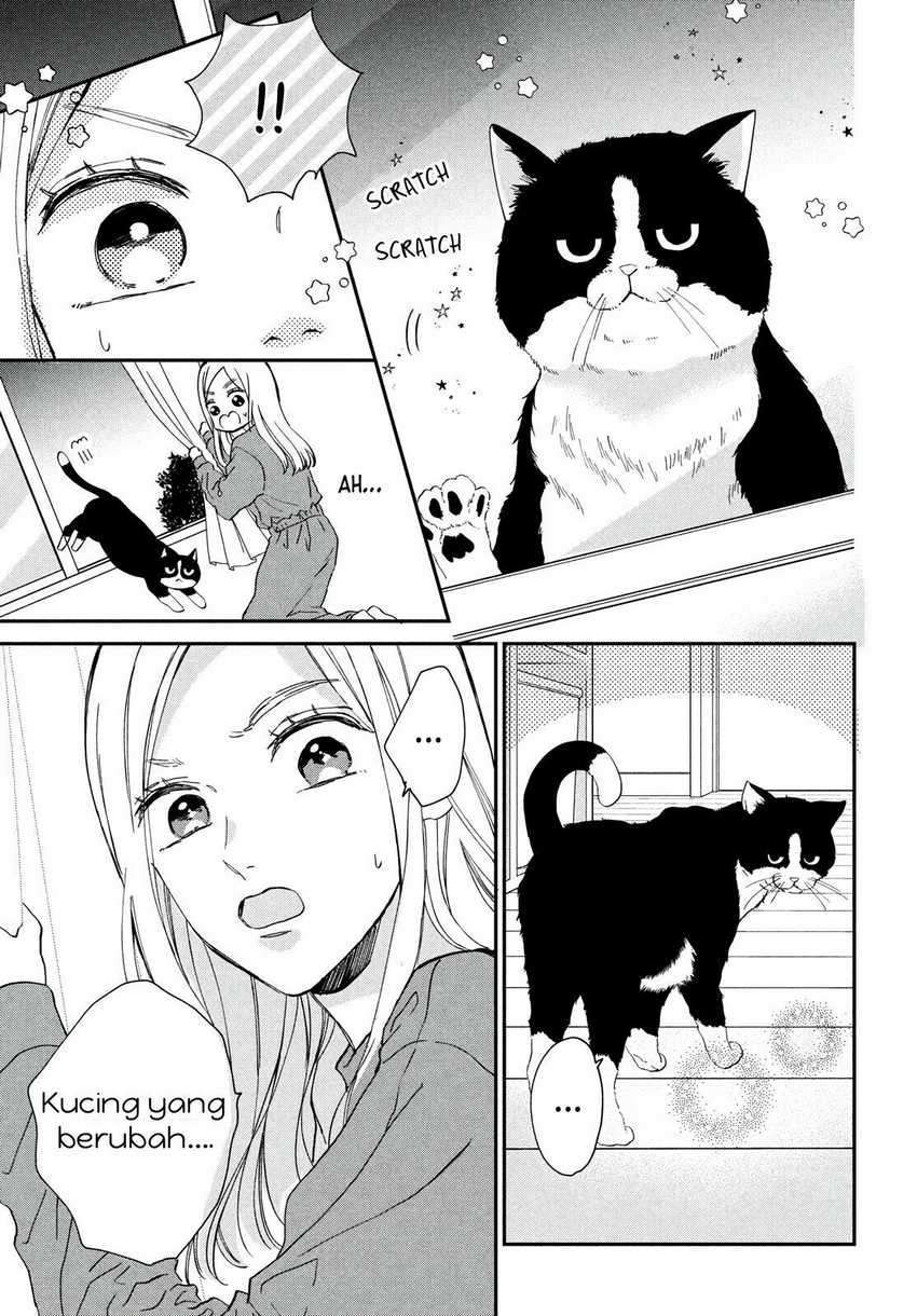 neko-to-kiss - Chapter: 1