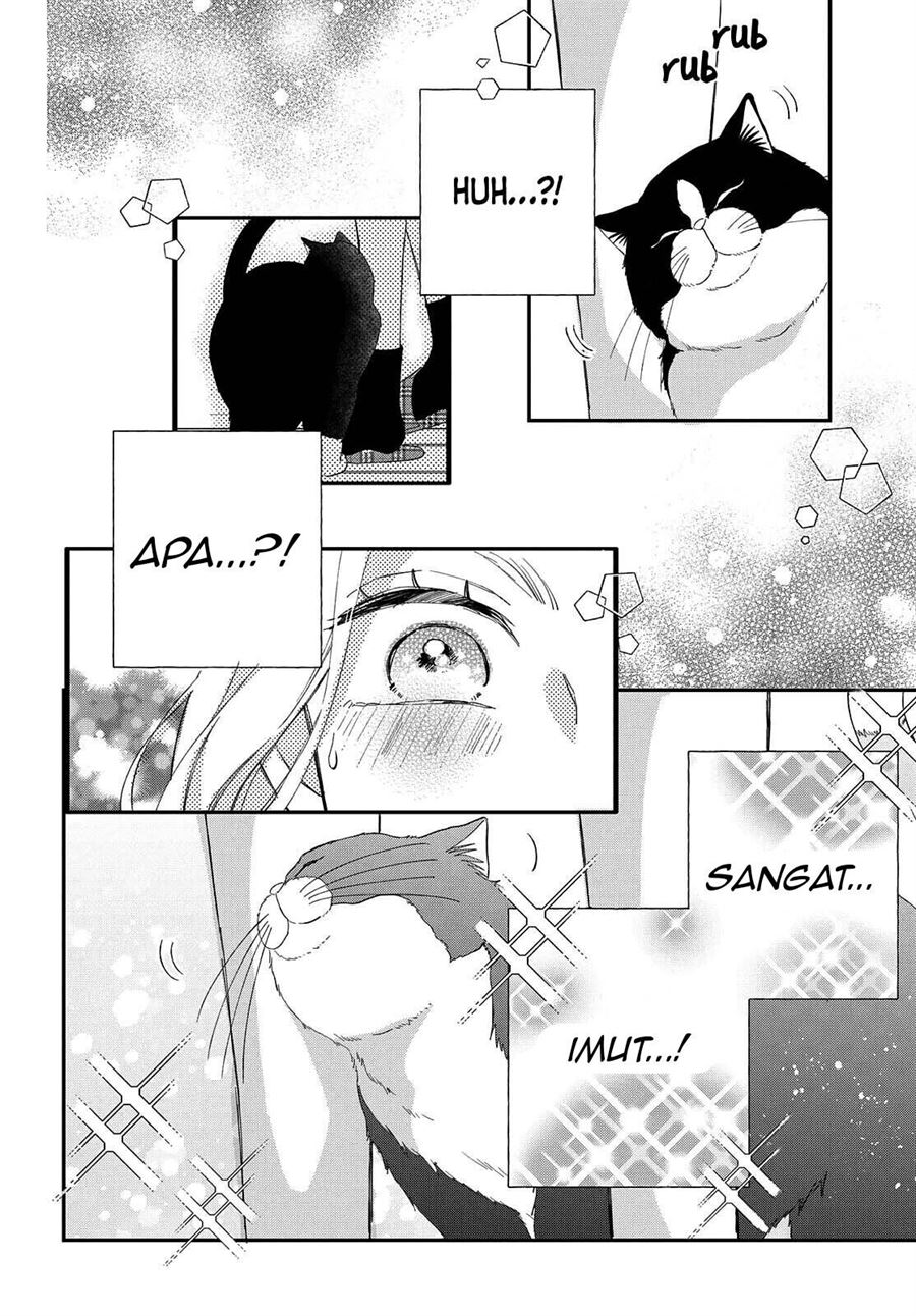 neko-to-kiss - Chapter: 6