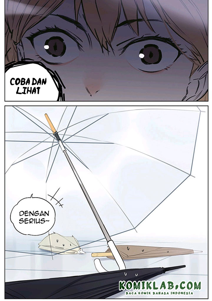 umbrellas - Chapter: 6