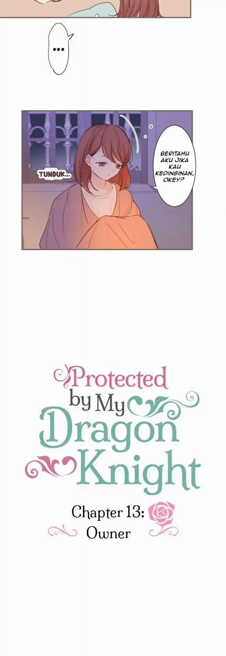 protected-by-my-dragon-knight - Chapter: 13