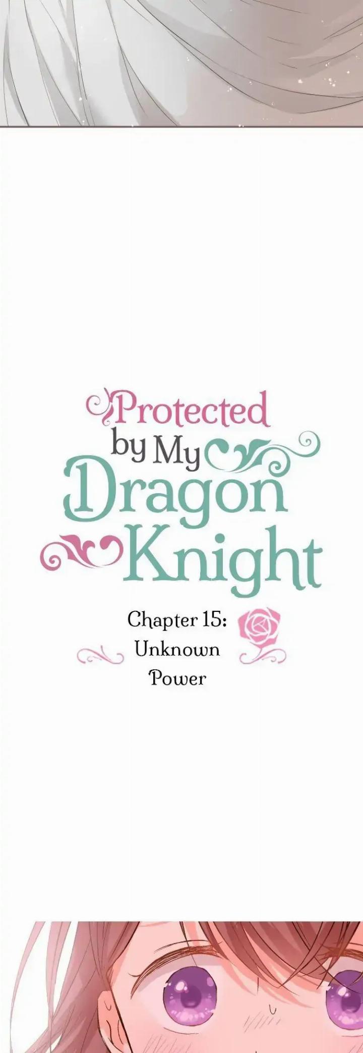 protected-by-my-dragon-knight - Chapter: 15