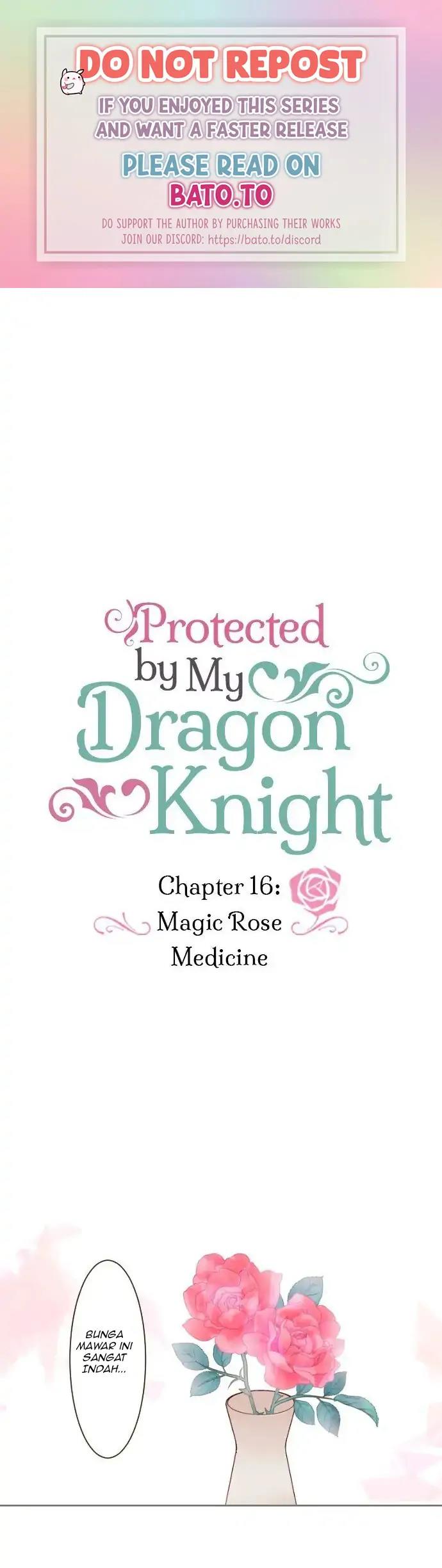 protected-by-my-dragon-knight - Chapter: 16