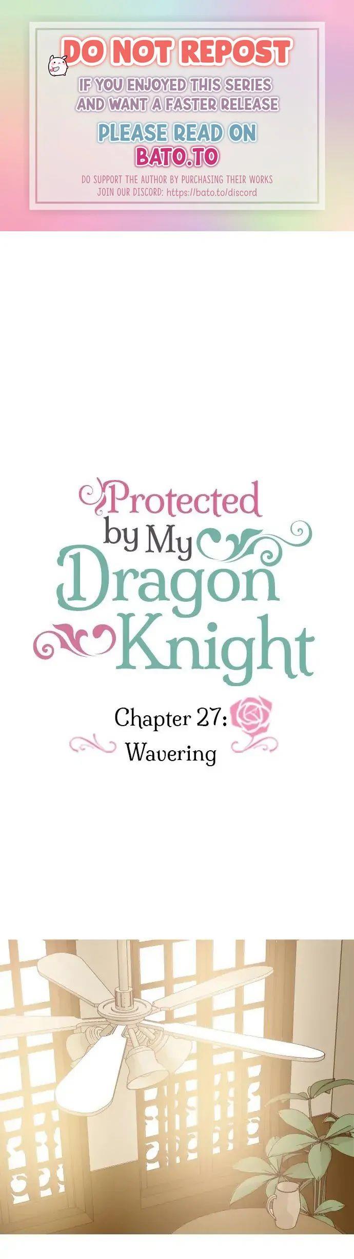 protected-by-my-dragon-knight - Chapter: 27