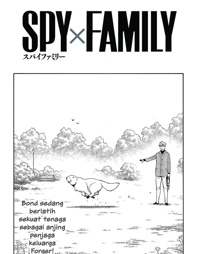 spy-x-family - Chapter: 58