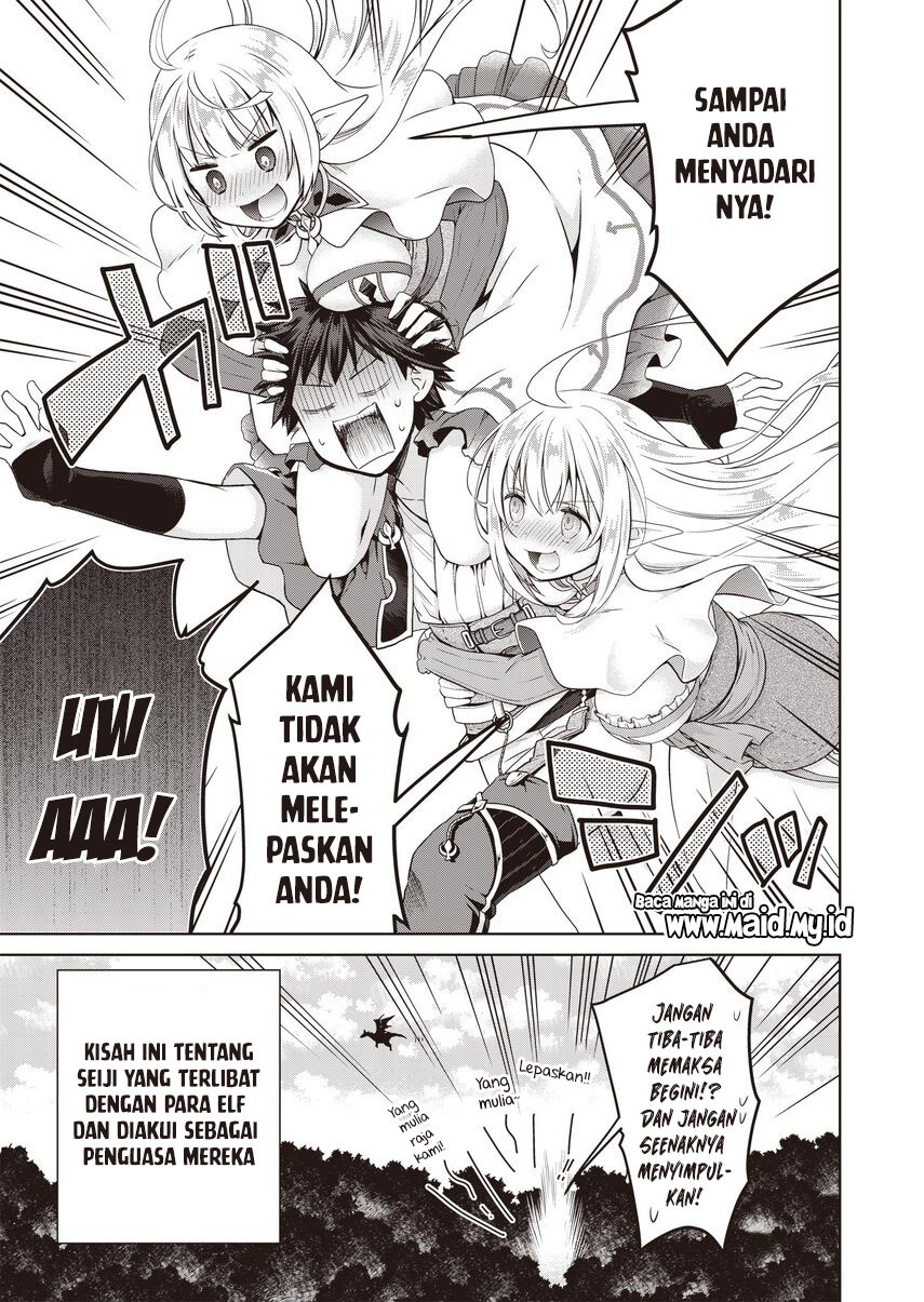 dakara-katte-ni-yusha-toka-hao-ni-nintei-sun-no-yamero-yo-elf-zoku-mo-kokuo-sama-mo-hirefusu-hodo-ore-ha-idaina-yakuwarirashi - Chapter: 1