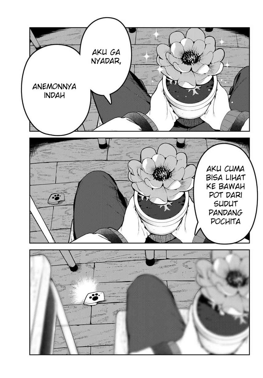 inu-ni-nattara-suki-na-hito-ni-hirowareta - Chapter: 20