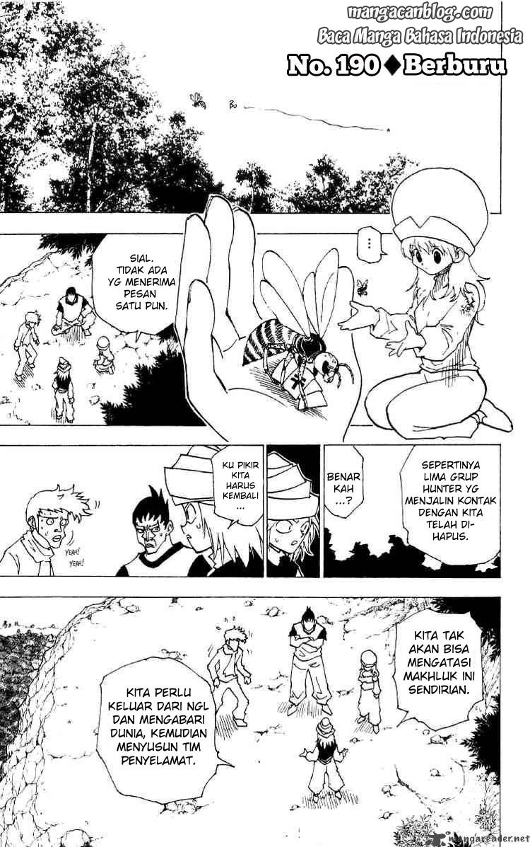 hunter-x-hunter - Chapter: 190