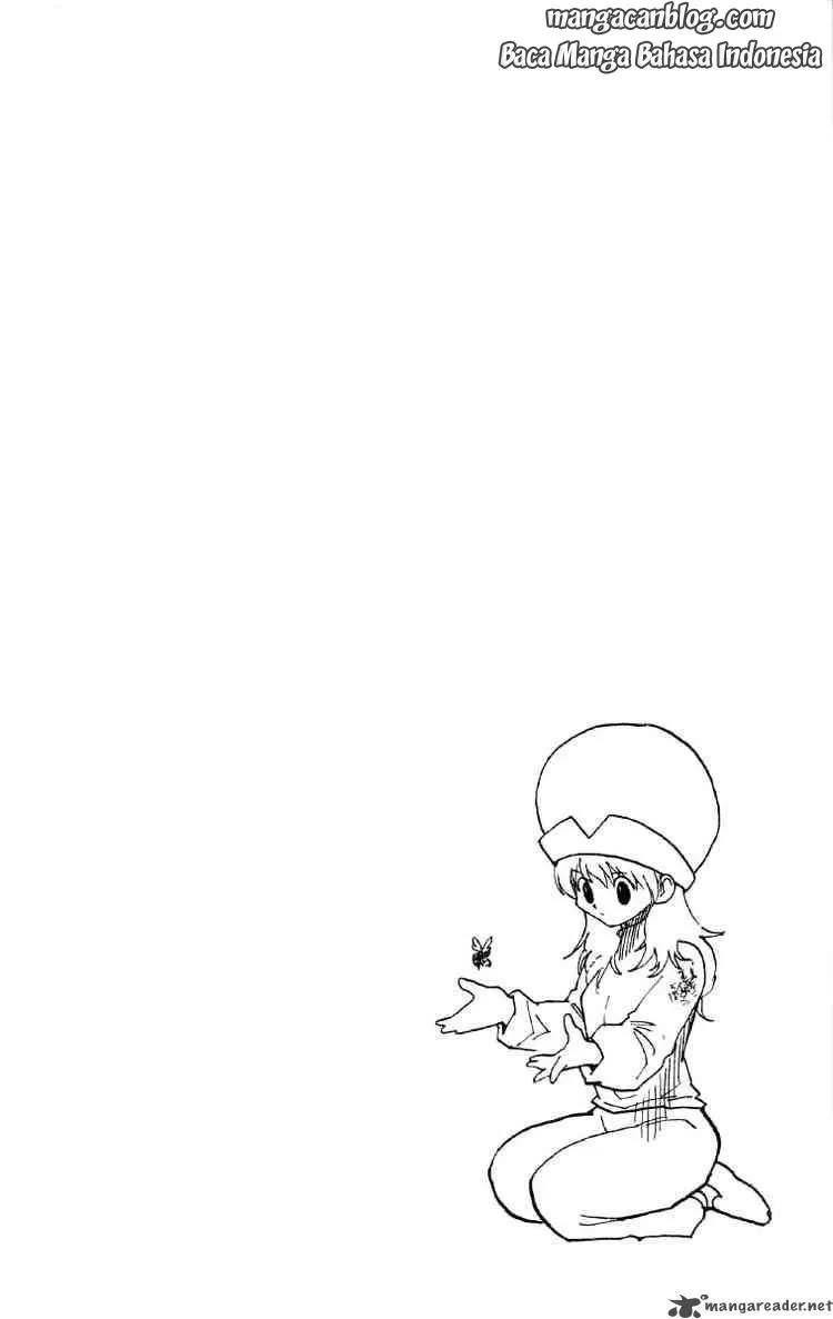 hunter-x-hunter - Chapter: 190