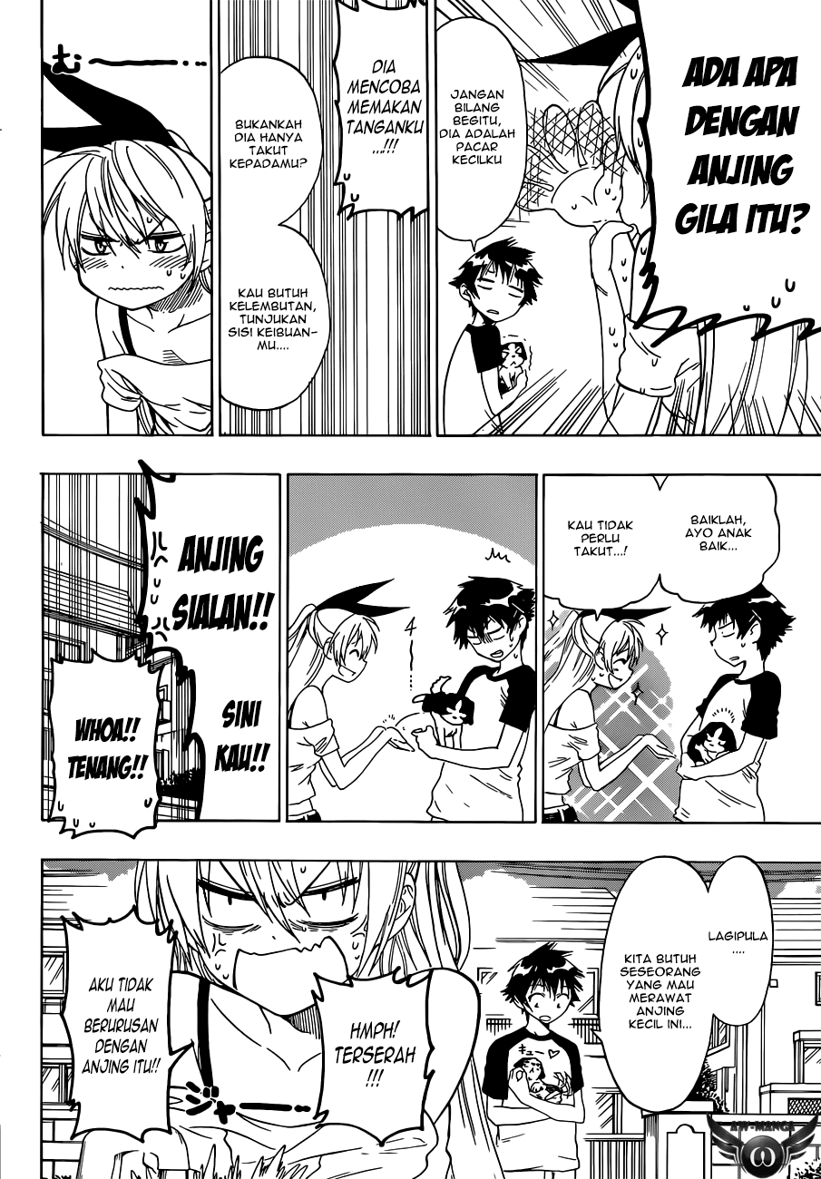 nisekoi - Chapter: 41