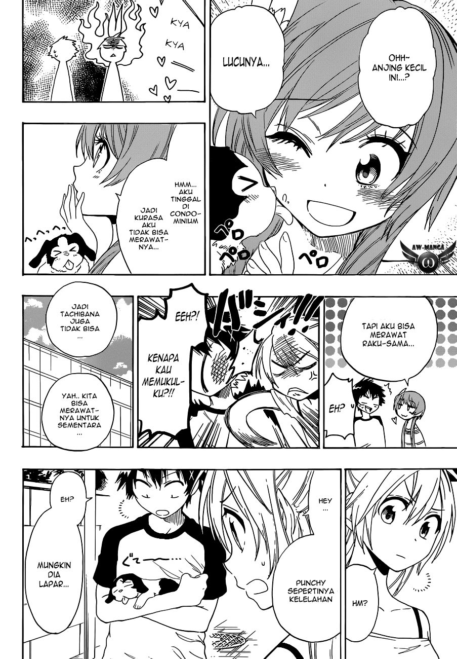 nisekoi - Chapter: 41