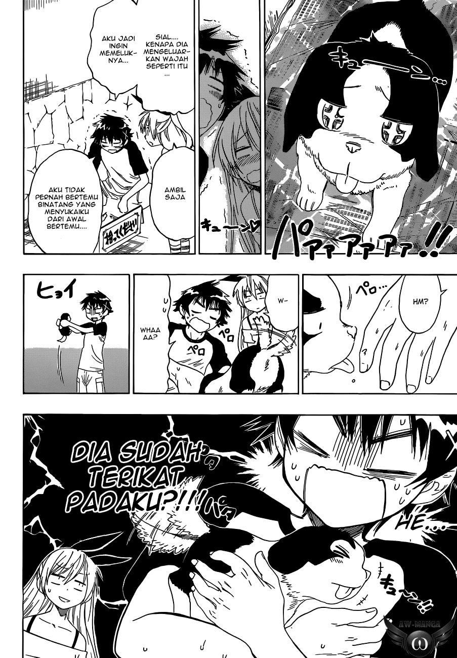 nisekoi - Chapter: 41