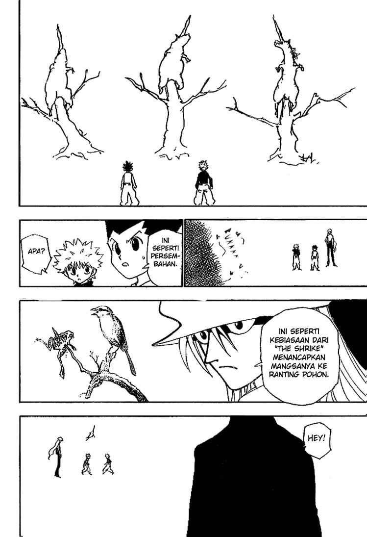 hunter-x-hunter - Chapter: 191