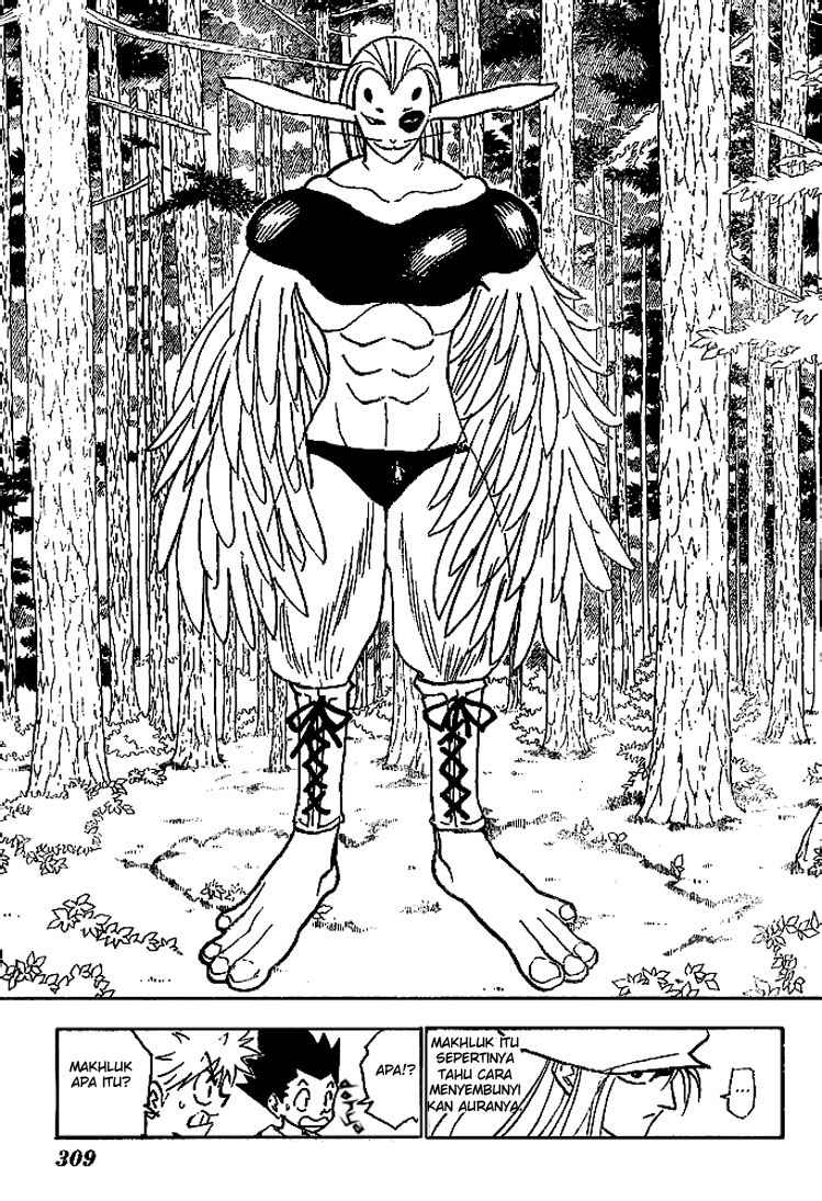 hunter-x-hunter - Chapter: 191