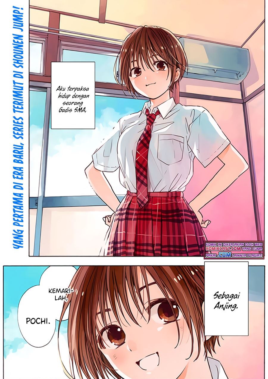 pochi-gokko - Chapter: 1
