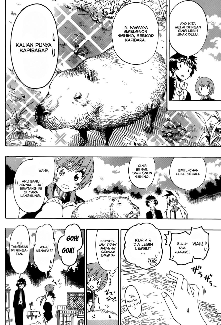 nisekoi - Chapter: 142