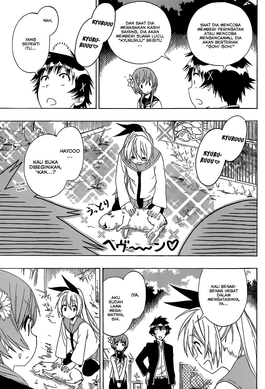 nisekoi - Chapter: 142