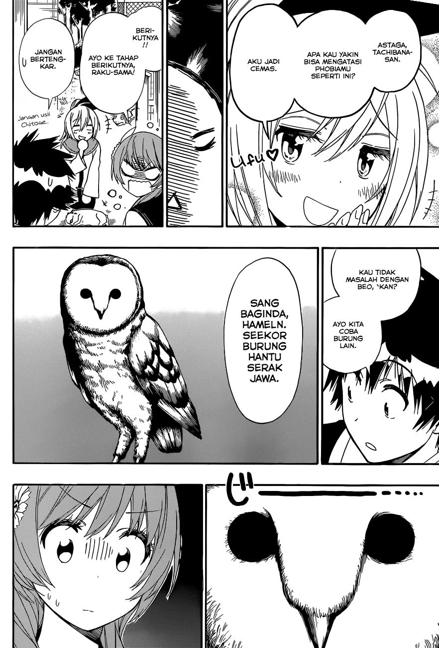 nisekoi - Chapter: 142